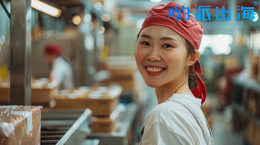 分离设备B2B工厂外贸网站如何做Google谷歌SEO优化关键字排名？如何外贸获客？